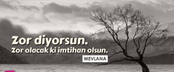 Zorluk ve Güçlük Arasındaki Fark: Net ve Uzman Açıklama - Kapak Görseli